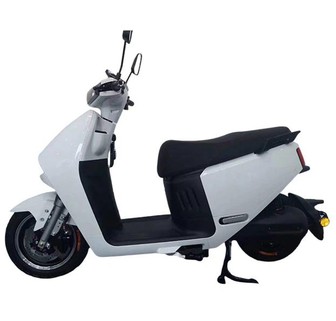 Electric Scooter with Passenger